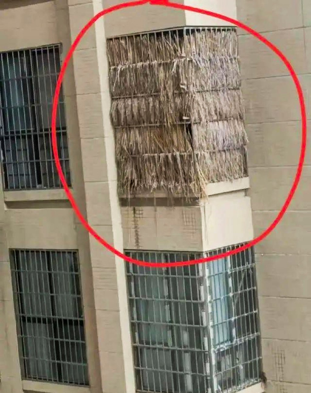 An unsightly residential flat which is being used to store human ashes. Photo: zhuanlan.zhihu.com/