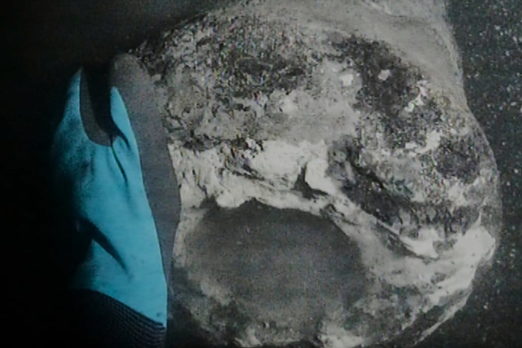 A cannon, thought to be from Danish flagship Dannebroge. Photo: Viking Ship Museum via AP