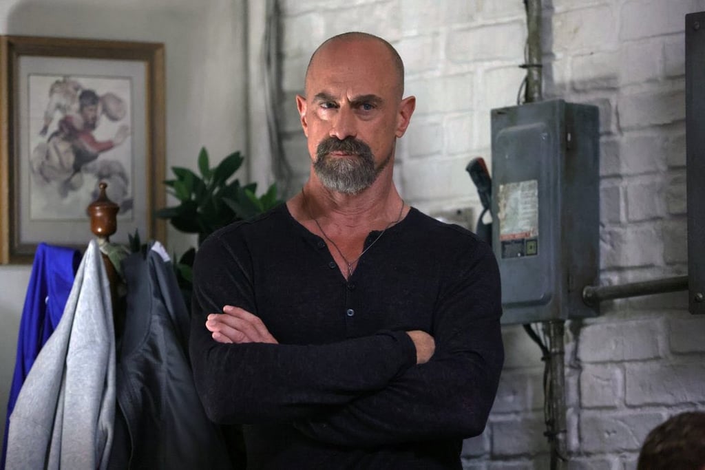 Christopher Meloni played NYPD Detective Elliot Stabler for over 270 episodes before he announced his departure from Law and Order: SVU. Photo: @thebestofeo/X