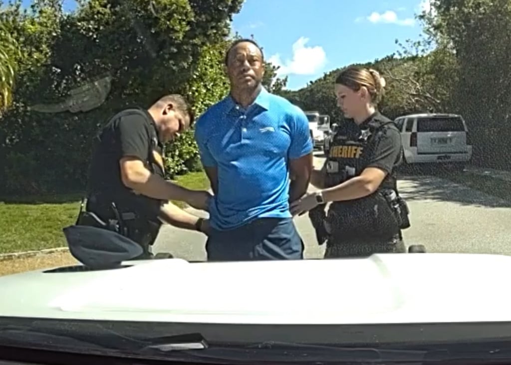 Tiger Woods is taken into custody following a car crash in Florida. Photo: AP