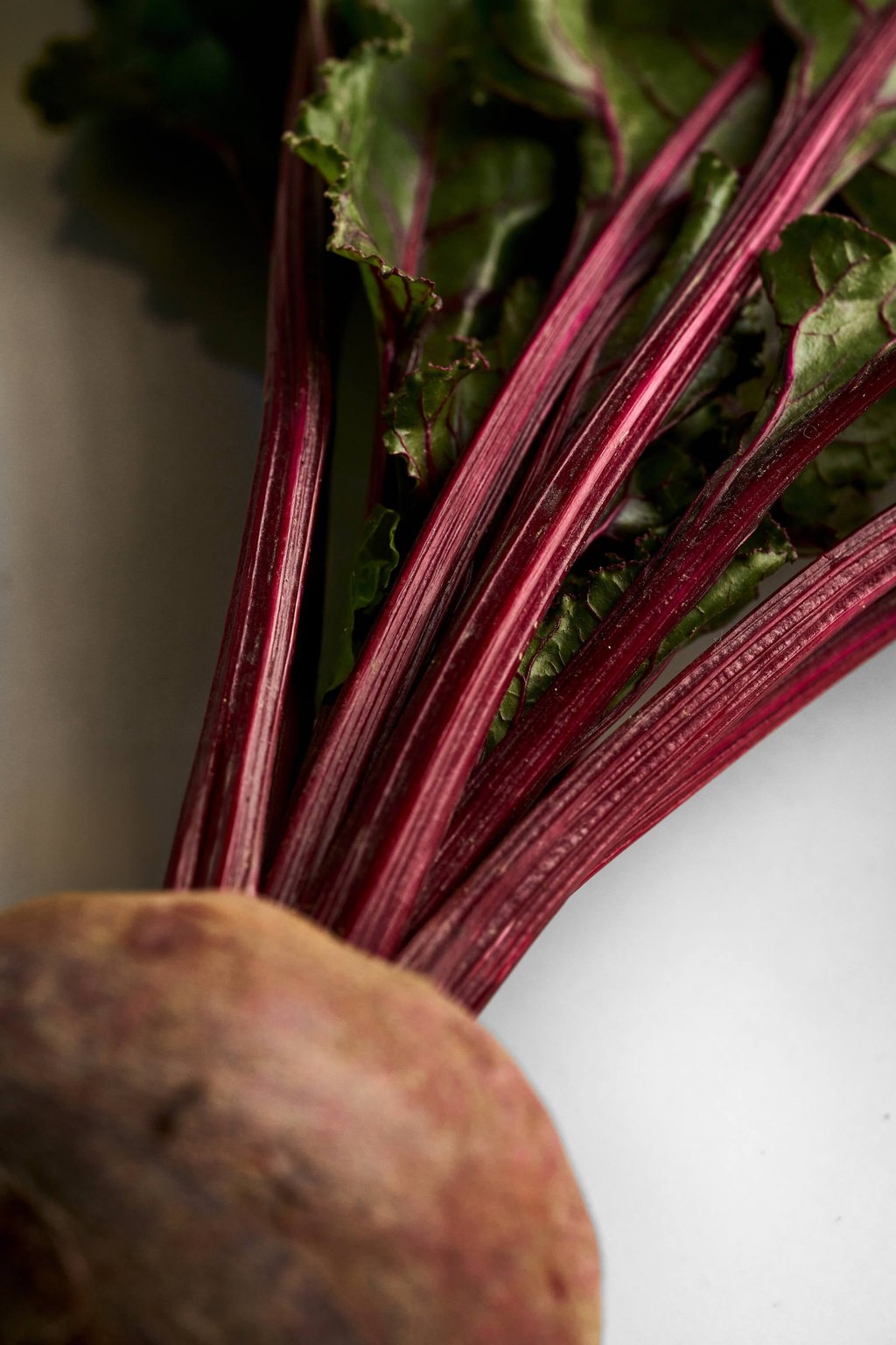 Feuille takes beetroot to a whole new level. Photo: Studio PMK