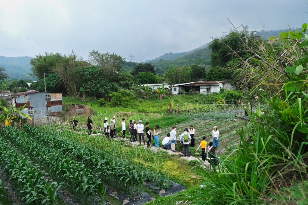 Event participants are taken around Blue Girl Organic Farm in Tai Tong. Photo: Hei Kiu Au