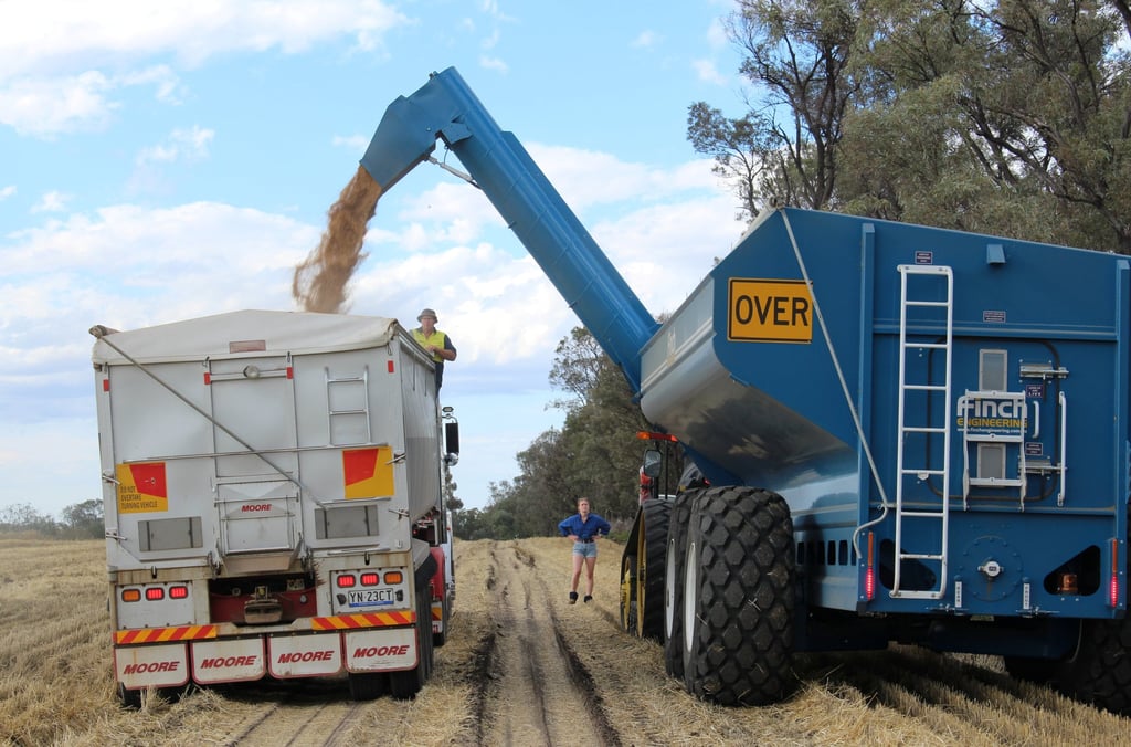 Harvested wheat is loaded onto a truck for transport near Moree, Australia. Photo: Reuters