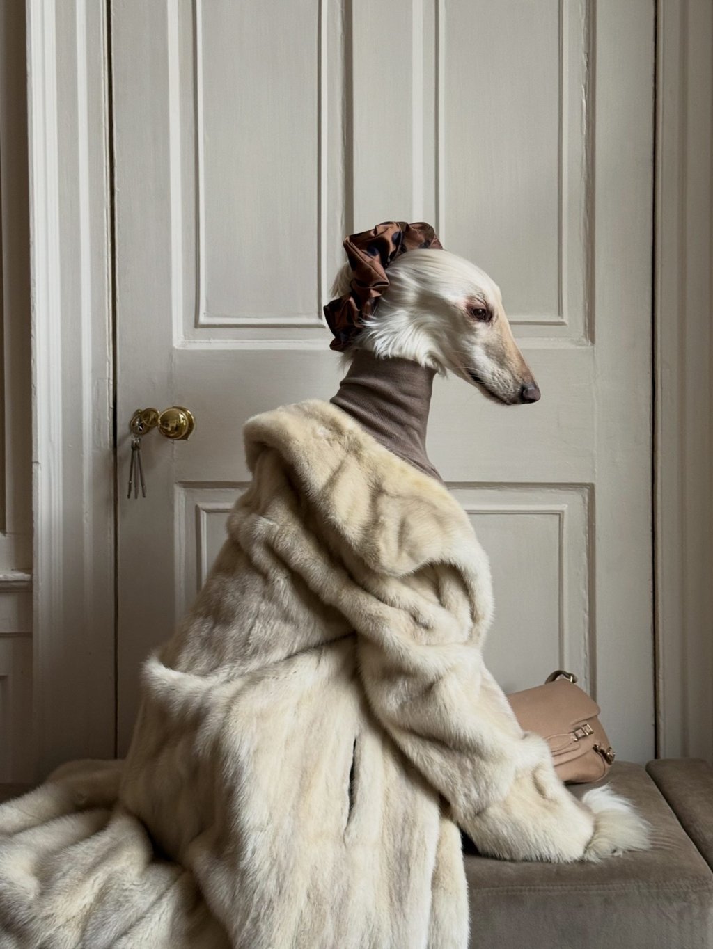 Samantha the Afghan hound is a big fan of a good fur coat, too. Photo: Handout