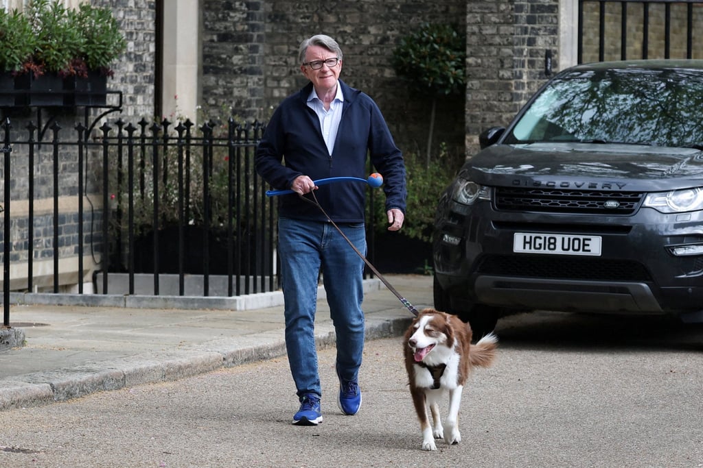 Peter Mandelson walking with his dog on Monday. Photo: Reuters