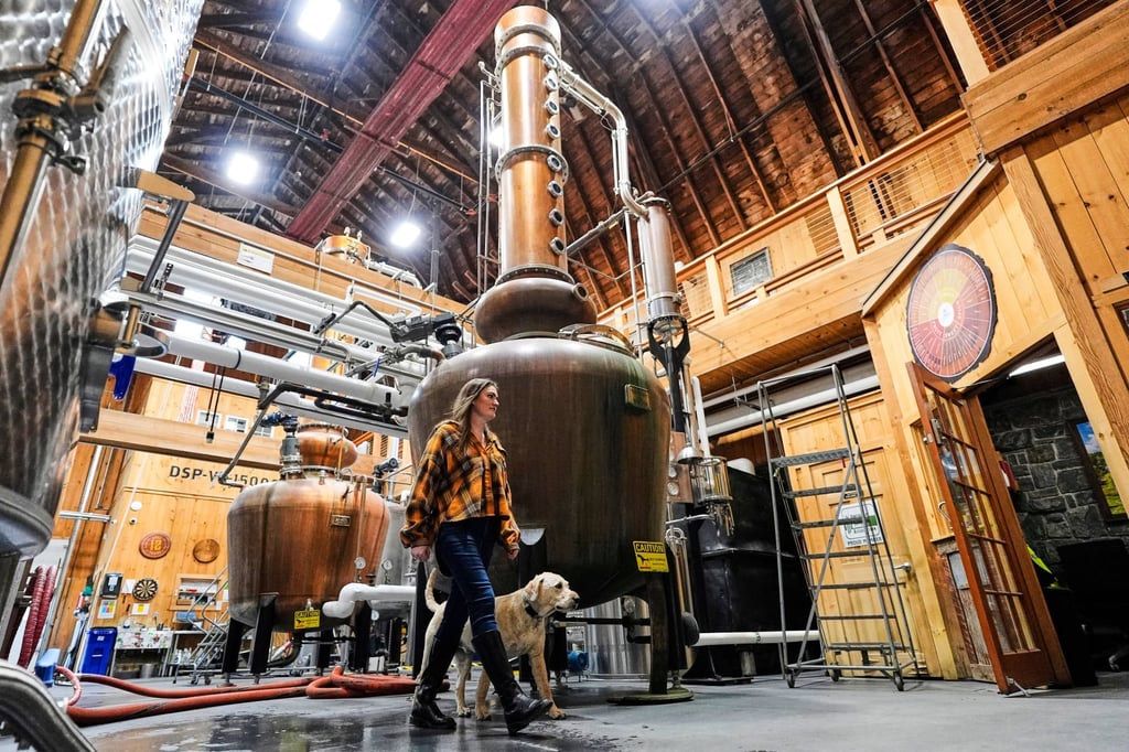 Ireland and her dog Murphy walk by one of the whiskey stills at the WhistlePig distillery. Photo: AP