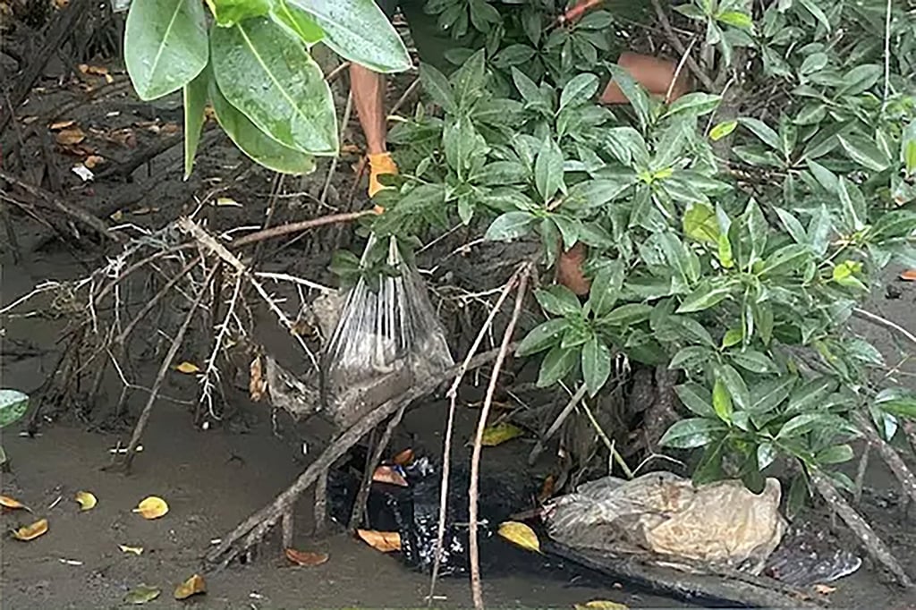 Thai officers trudged through the mangrove forest in the Hat Lek area of Trat and found dozens of plastic bags containing rotten chicken stuck among the tree roots. Photo: NBT