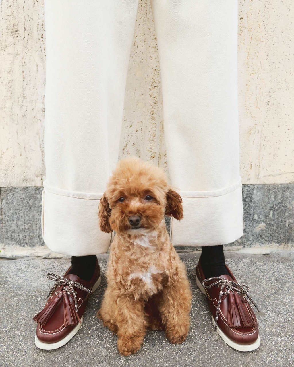 Weekend Max Mara boat shoes (pup not included). Photo: Handout