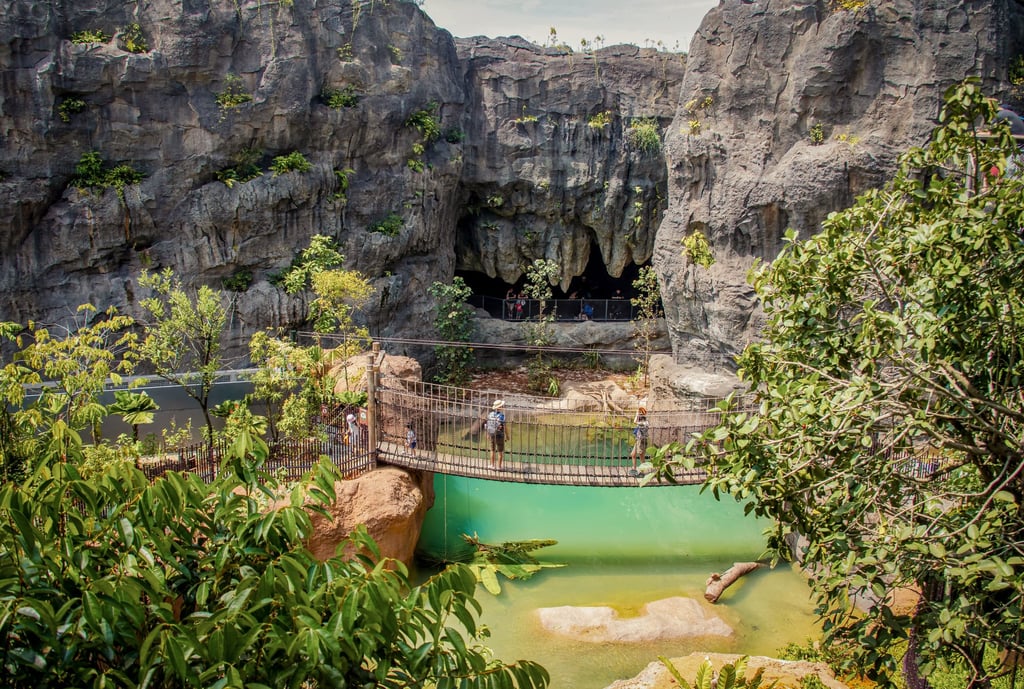 The “crocodile bridge” of Rainforest Wild Asia, the fifth attraction to open in the Mandai Wildlife Reserve. Photo: Shutterstock