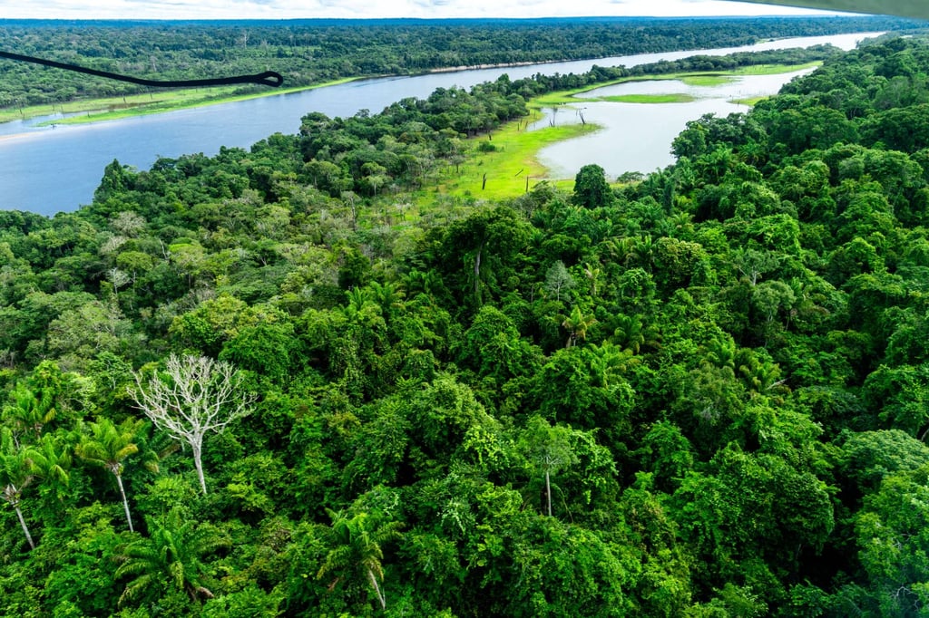A river flowing through the Amazon rainforest in 2023. Photo: Jens Büttner/dpa