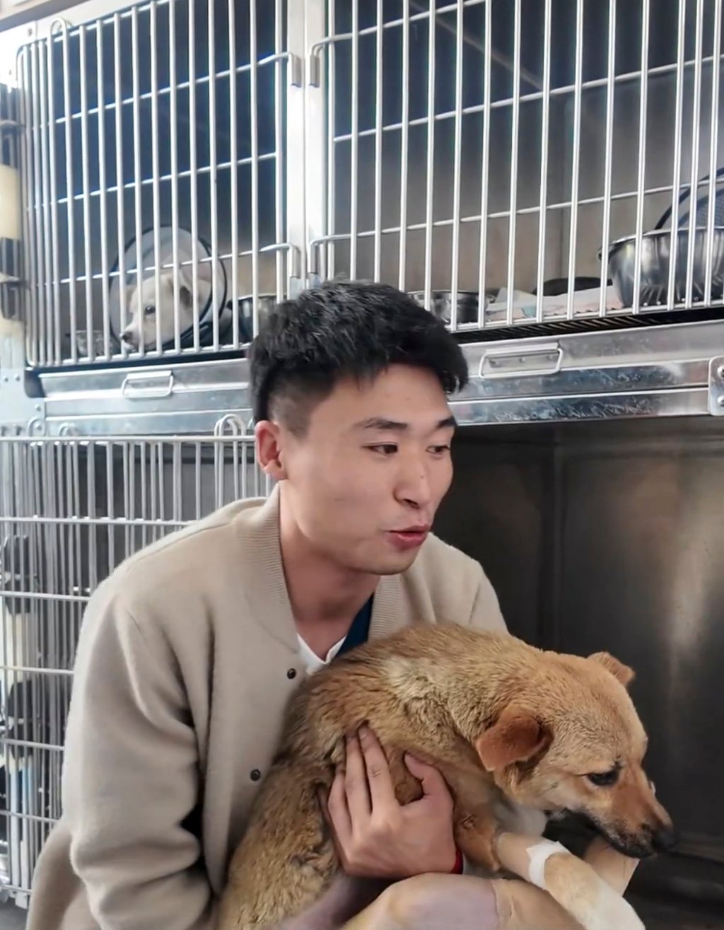 The injured dog is held in the arms of one of the men who helped pay for its medical treatment. Photo: Douyin