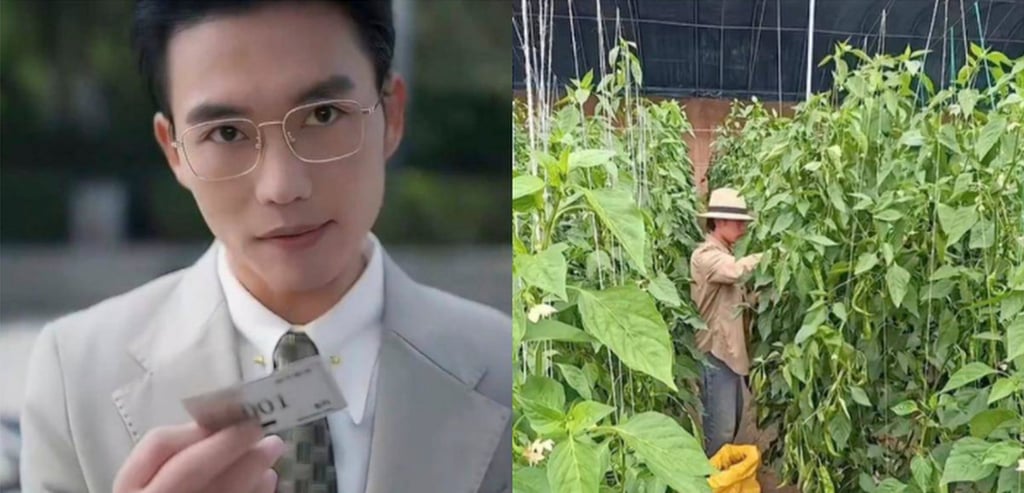 Zhang Xiaolei, above, has gone from miniseries actor to simple chilli farmer. Photo: Weibo