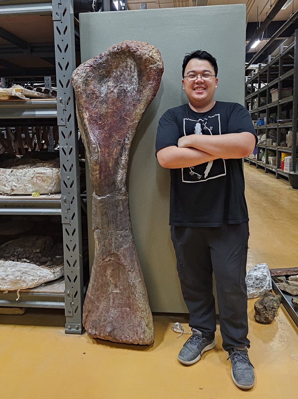 Researcher Thitiwoot Sethapanichsakul poses with a front leg bone of the Cretaceous Period sauropod dinosaur Nagatitan chaiyaphumensis at the Sirindhorn Museum in Thailand. Photo: Thitiwoot Sethapanichsakul/Reuters