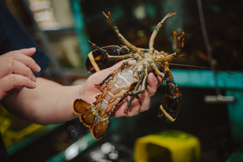 A fresh lobster at Peter Seafood in Aberdeen. Photo: Alexander Mak