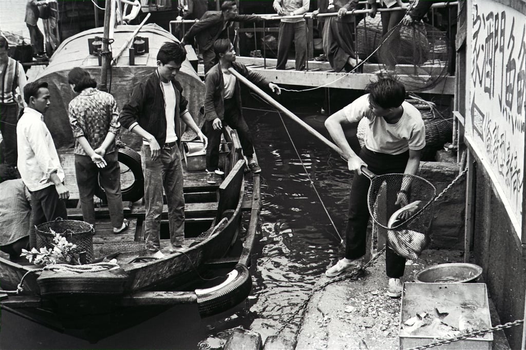 A catch is assessed at Lei Yue Mun fishing village, in 1967. Photo: SCMP Archives