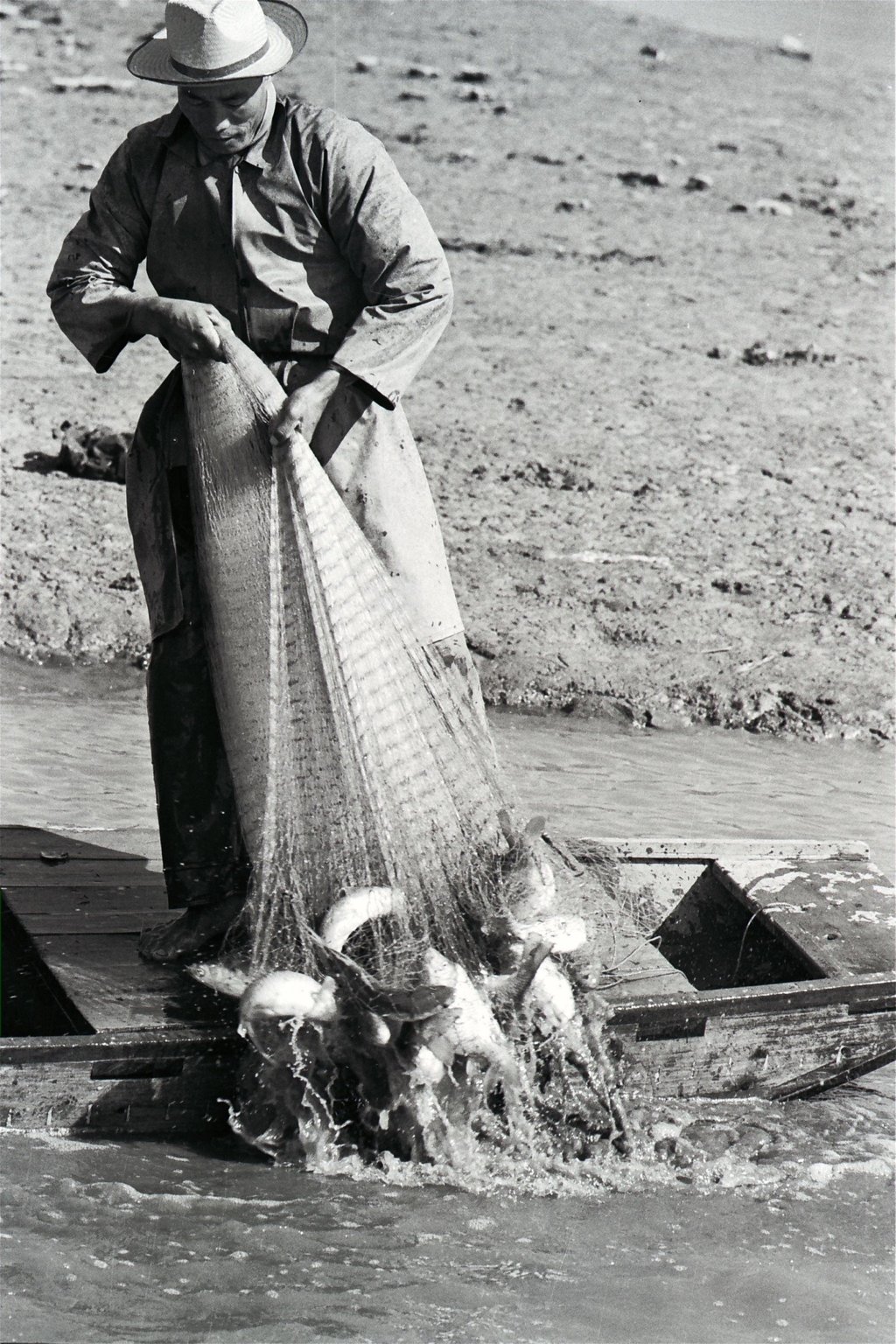 A fruitful haul in Lok Ma Chau, on the border between mainland China and Hong Kong, in 1972. Photo: SCMP Archives