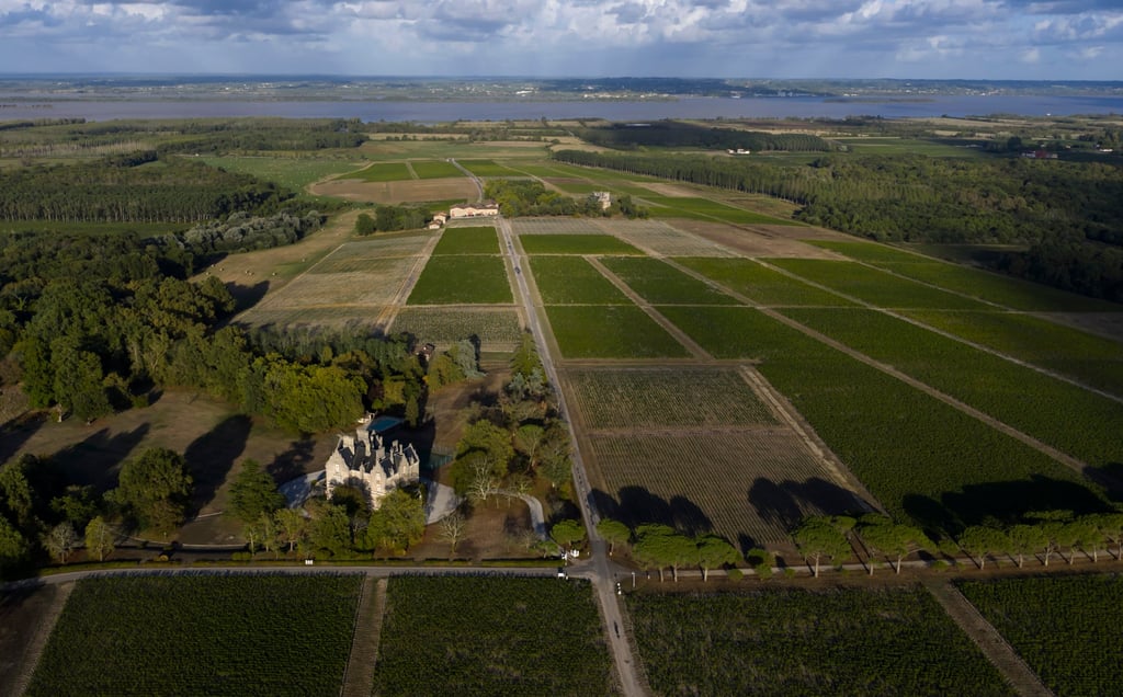 The Château Lanessan vineyard covers an area of approximately 400 hectares across Bordeaux. Photo: Courtesy of Penfolds