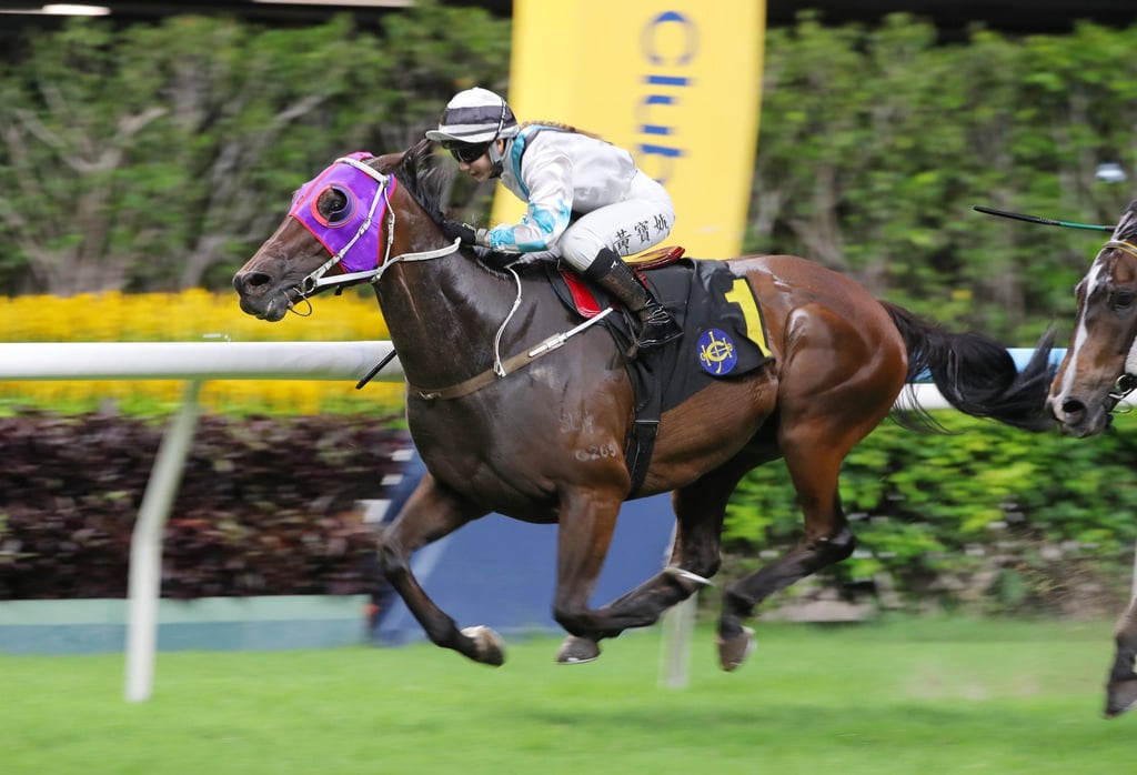 Britney Wong, here riding Son Pak Fu to victory at Happy Valley, has 29 winners at Sha Tin. Photo: Kenneth Chan.