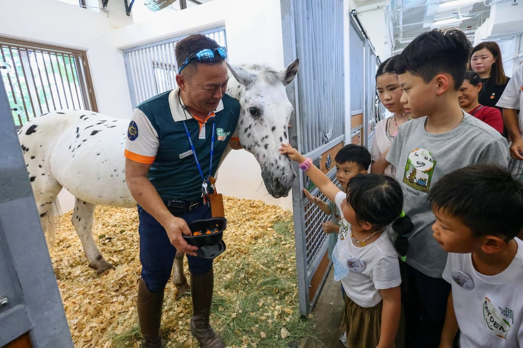 Children will be able to get up close and learn about the living and eating habits of ponies, and the basics of horse care. Photo: Dickson Lee
