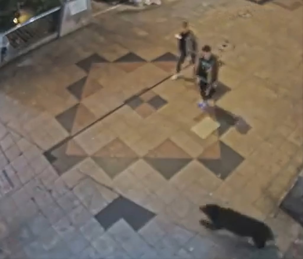 A screengrab from a social media video shows a bear dashing in front of two people walking in a shopping arcade in Utsunomiya, Japan, on Sunday. Photo: X A screengrab from a social media video shows a bear dashing in front of two people walking in a shopping arcade in Utsunomiya, Japan, on Sunday. Photo: X