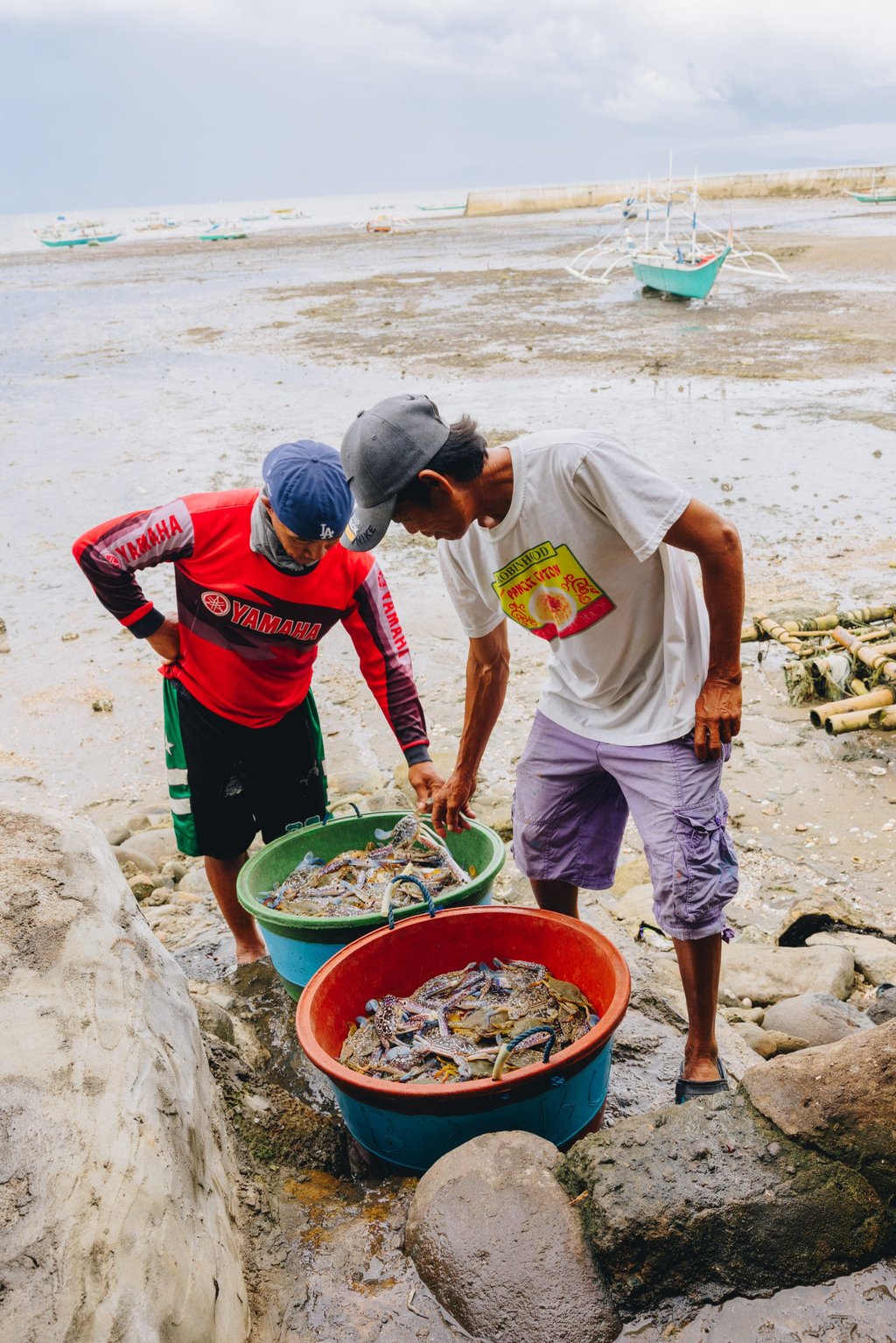 Fishermen sort through the day’s catch of blue swimmer crabs in Tortosa, a small fishing village an hour’s drive from Bacolod. Photo: Jocelyn Tam Fishermen sort through the day’s catch of blue swimmer crabs in Tortosa, a small fishing village an hour’s drive from Bacolod. Photo: Jocelyn Tam