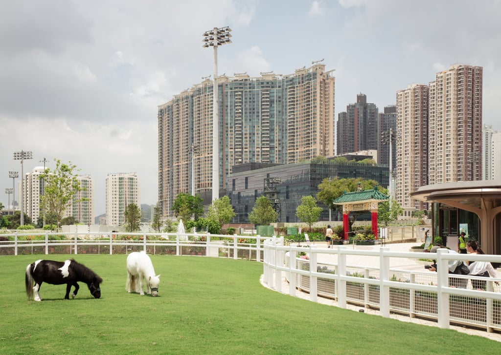 Pony World in Sha Tin provides school groups and families with an invaluable opportunity to interact with and foster an interest in ponies. Photo: Alexander Mak Pony World in Sha Tin provides school groups and families with an invaluable opportunity to interact with and foster an interest in ponies. Photo: Alexander Mak