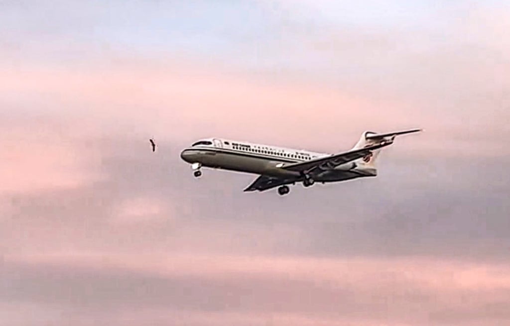 On Sunday, flight CA1150, a C909 aircraft flying from Ordos to Beijing, suffered a bird strike while landing at Capital International Airport. Photo: handout On Sunday, flight CA1150, a C909 aircraft flying from Ordos to Beijing, suffered a bird strike while landing at Capital International Airport. Photo: handout