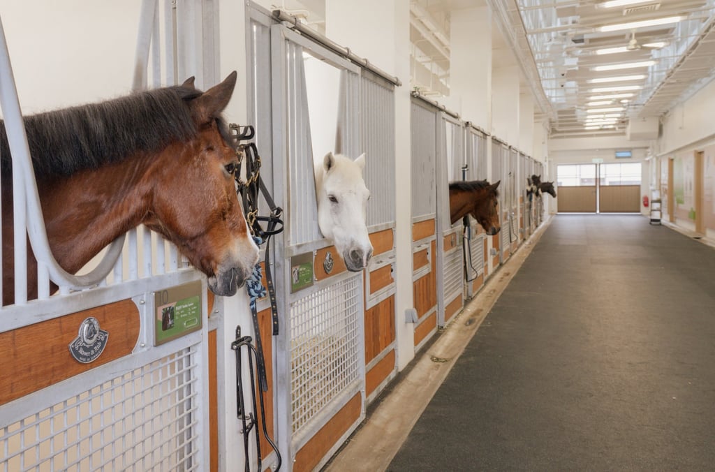 The stables at Pony World. Photo: Alexander Mak The stables at Pony World. Photo: Alexander Mak