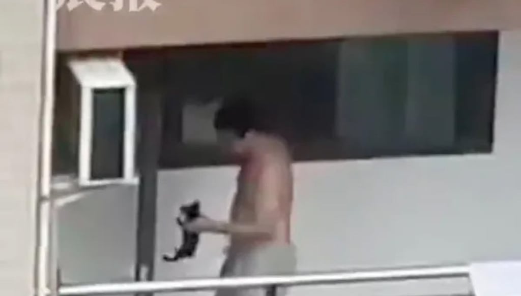 The above image shows Li allegedly abusing a cat on his balcony. Photo: Weibo The above image shows Li allegedly abusing a cat on his balcony. Photo: Weibo