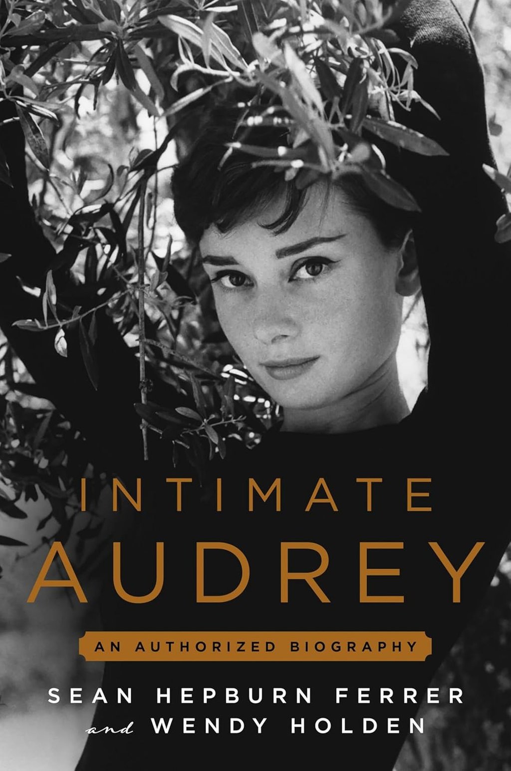 The cover of Intimate Audrey by Sean Hepburn Ferrer and Wendy Holden. Photo: Grand Central Publishing The cover of Intimate Audrey by Sean Hepburn Ferrer and Wendy Holden. Photo: Grand Central Publishing