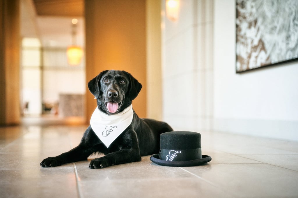 Fairmont Tokyo’s resident dog, Serene. Photo: Fairmont Tokyo Fairmont Tokyo’s resident dog, Serene. Photo: Fairmont Tokyo