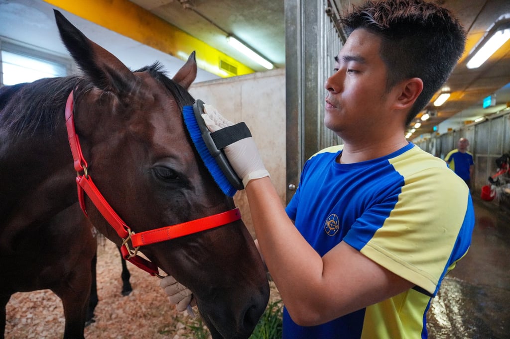 Henry Chan considers Romantic Warrior to be family, not an economic asset. Photo: May Tse Henry Chan considers Romantic Warrior to be family, not an economic asset. Photo: May Tse