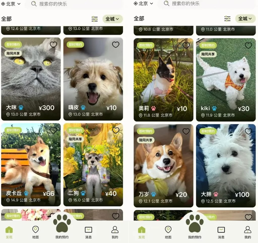 A new pet trend in China’s major cities allows people to rent dogs by the hour through an innovative online programme. Fees typically range from 10 to 60 yuan (US$1.5 to US$9) per hour, depending on the dog’s breed and the duration of the rental. Photo: Handout A new pet trend in China’s major cities allows people to rent dogs by the hour through an innovative online programme. Fees typically range from 10 to 60 yuan (US$1.5 to US$9) per hour, depending on the dog’s breed and the duration of the rental. Photo: Handout