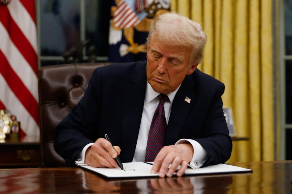 US President Donald Trump signs an executive order on birthright citizenship on January 20, 2025. Photo: Getty Images via TNS