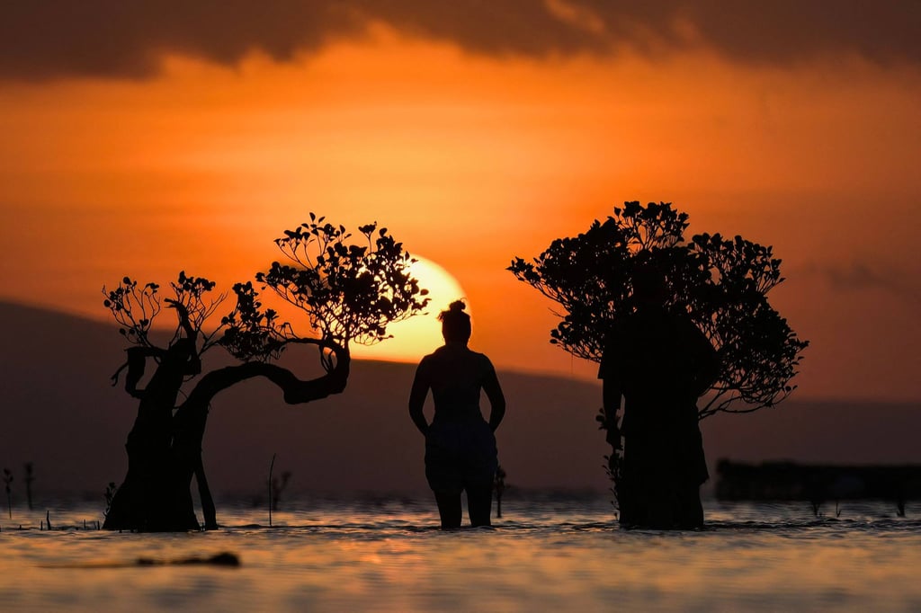 A person stands among mangrove trees at sunset in East Sumba, Indonesia’s East Nusa Tenggara province, last month. Photo: AFP A person stands among mangrove trees at sunset in East Sumba, Indonesia’s East Nusa Tenggara province, last month. Photo: AFP