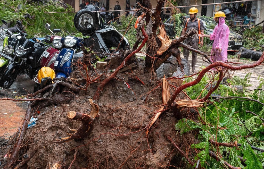 Civic-authority workers clear a road, blocked by uprooted trees following strong winds and rain in Mumbai on Sunday. Photo: AFP, Civic-authority workers clear a road, blocked by uprooted trees following strong winds and rain in Mumbai on Sunday. Photo: AFP,