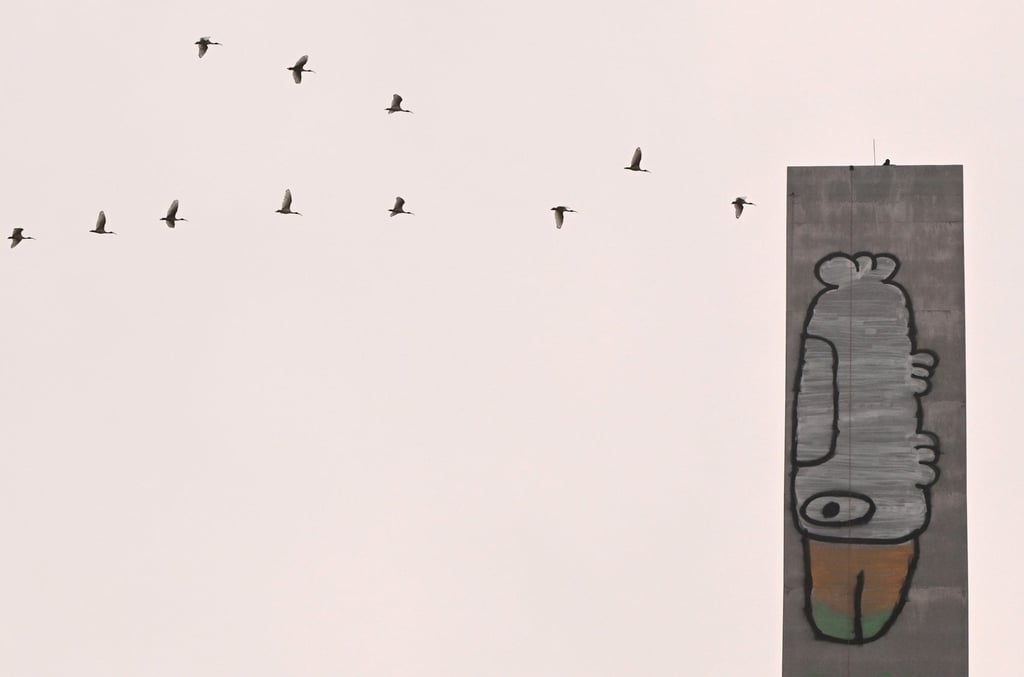 Pam the Bird graffiti is seen on the eastern pylon of the Bolte Bridge in Melbourne on Tuesday. Photo: EPA Pam the Bird graffiti is seen on the eastern pylon of the Bolte Bridge in Melbourne on Tuesday. Photo: EPA
