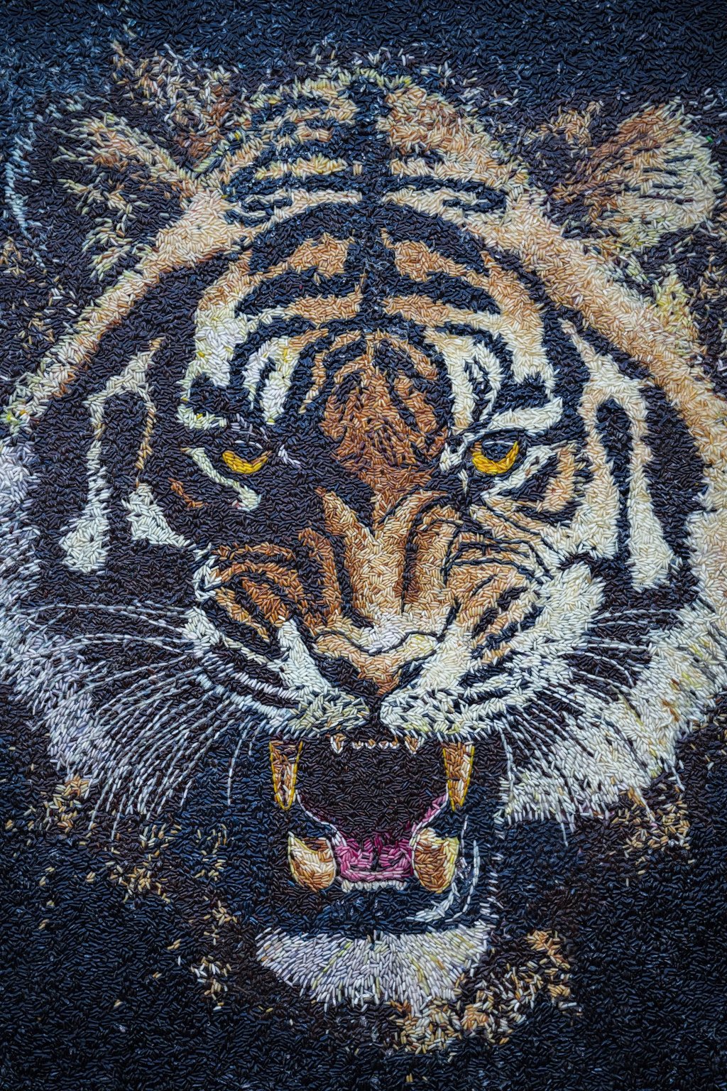 A tiger’s head made out of rice by Tom Kim Eng, a Cambodian artist also known as Aisha, who creates art from rice grains. Photo: Reuters A tiger’s head made out of rice by Tom Kim Eng, a Cambodian artist also known as Aisha, who creates art from rice grains. Photo: Reuters