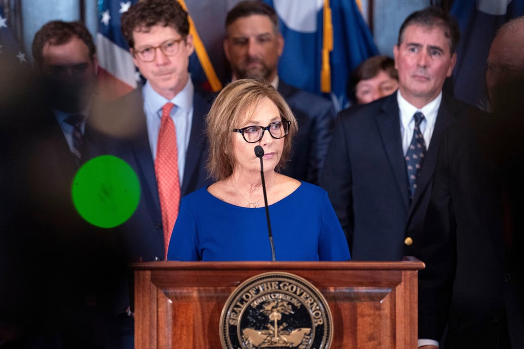 Darline Graham Nordone addresses reporters after being named to succeed her brother, the late Senator Lindsey Graham. Photo: AP