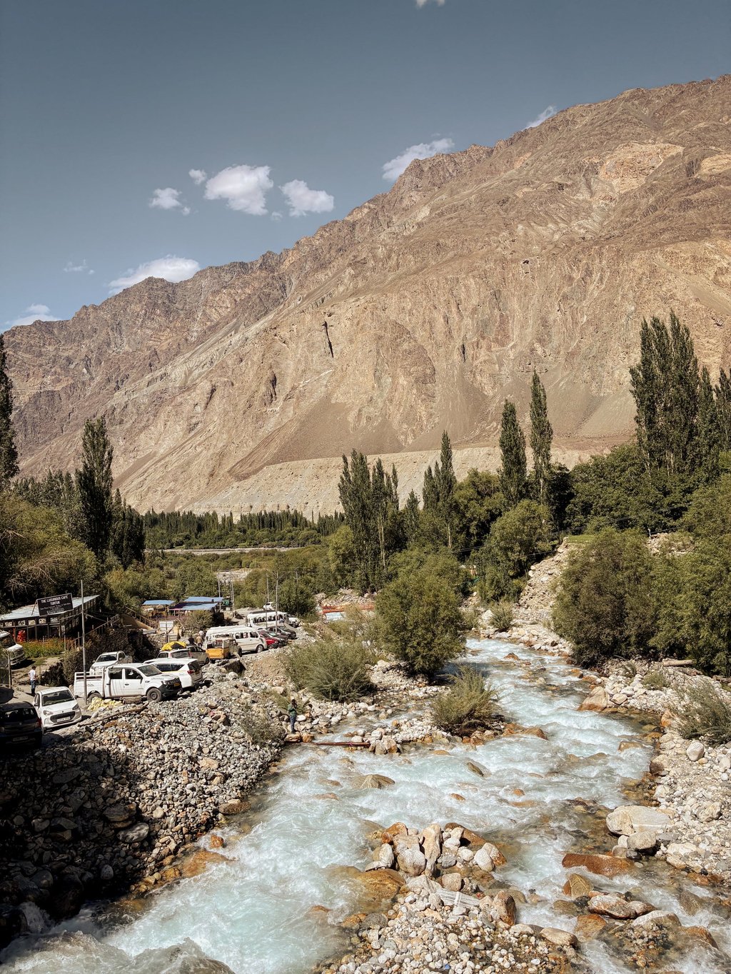 The lush valley of the icy blue Shyok River. Photo: Reem Khokhar