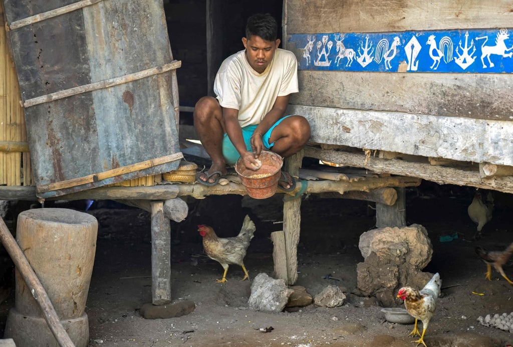 Umbu Ana Rara feeds his chickens as part of household chores that he shares with his “ata” at Tanggedu village in East Sumba. Photo: AFP Umbu Ana Rara feeds his chickens as part of household chores that he shares with his “ata” at Tanggedu village in East Sumba. Photo: AFP