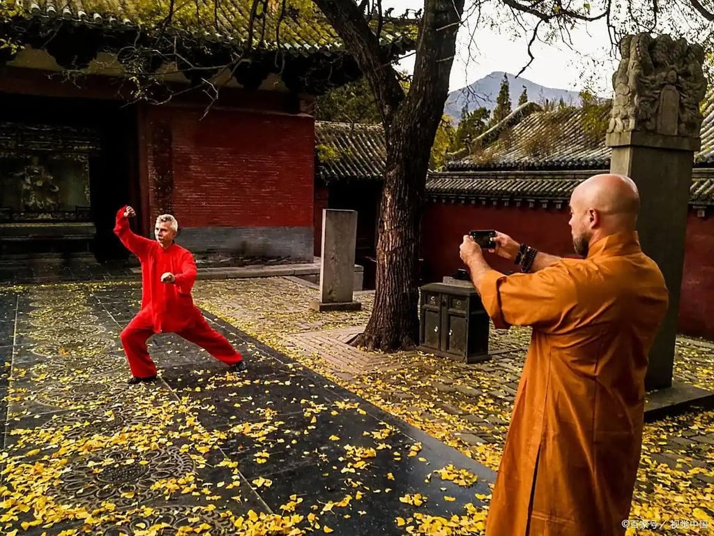 There are dozens of Shaolin-affiliated schools globally. Photo: Baidu