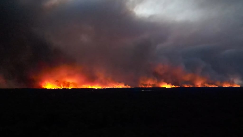 A wall of flame lights up the night as a wildfire burns near the Cap Ferret peninsula in France. Photo: AFP