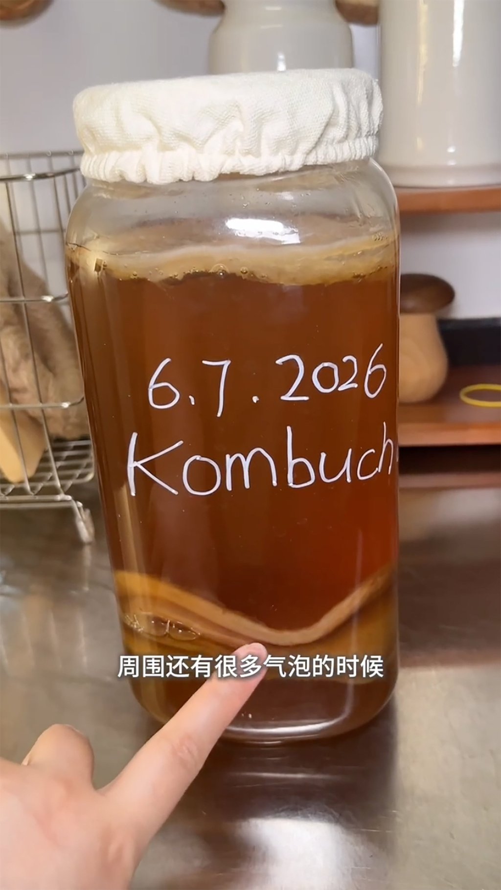The obsession is real; #kombucha and #homemadekombucha have over 80 million combined views on social media. Photo: RedNote The obsession is real; #kombucha and #homemadekombucha have over 80 million combined views on social media. Photo: RedNote