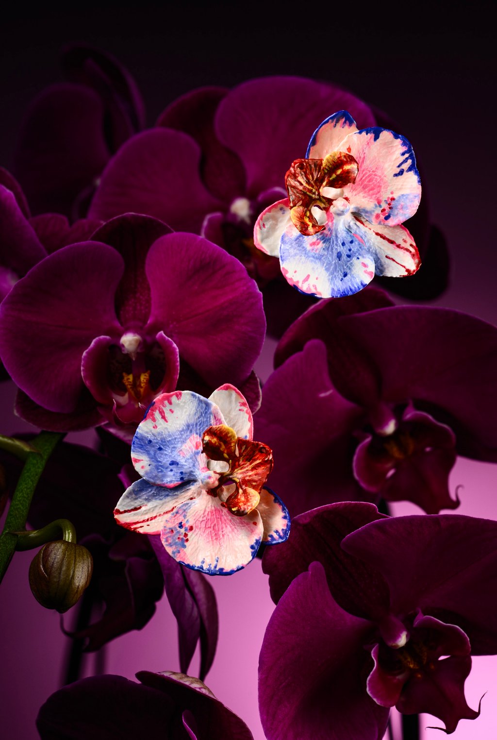 Anna Hu Orchid Minuet earrings. Photo: Handout Anna Hu Orchid Minuet earrings. Photo: Handout