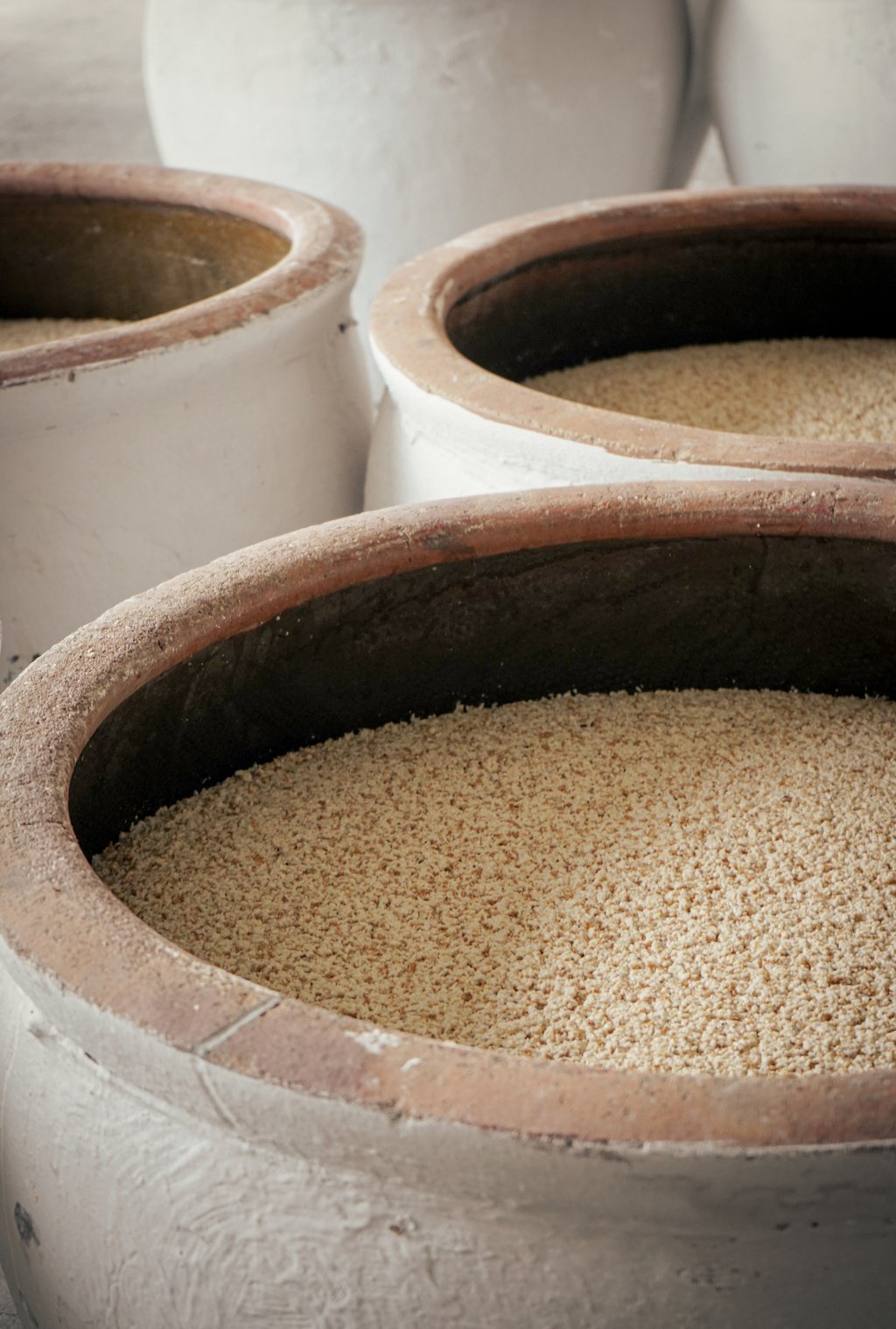 Open vats of steamed glutinous rice mixed with lake water and wine mother at the Pagoda Brand Winery in Shaoxing. Photo: Gavin Yeung Open vats of steamed glutinous rice mixed with lake water and wine mother at the Pagoda Brand Winery in Shaoxing. Photo: Gavin Yeung