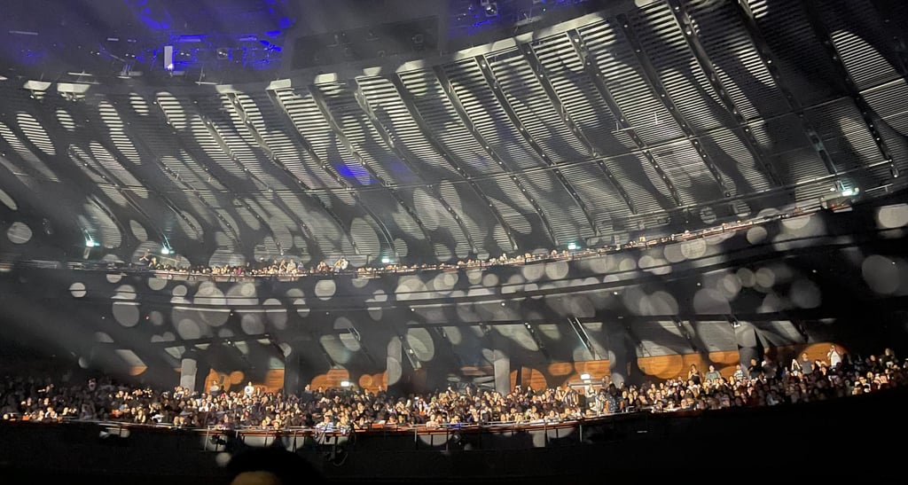 The audience responds to Massive Attack’s performance in Singapore on Wednesday. Photo: Daniel Koh The audience responds to Massive Attack’s performance in Singapore on Wednesday. Photo: Daniel Koh