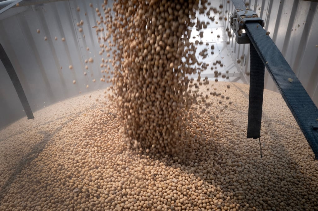Soybeans are loaded into a truck in Dwight, Illinois, in August 2025. Photo: TNS
