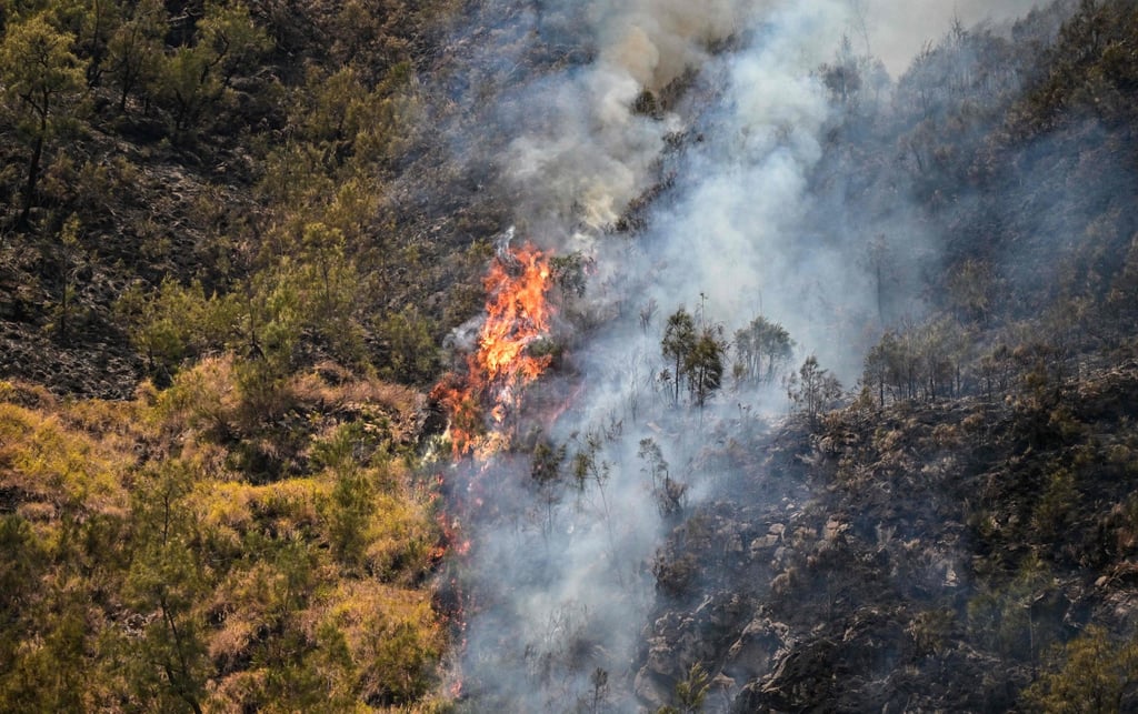 A wildfire burns in Bromo Tengger Semeru National Park near Mount Bromo in Probolinggo, East Java province on Thursday. Photo: AFP