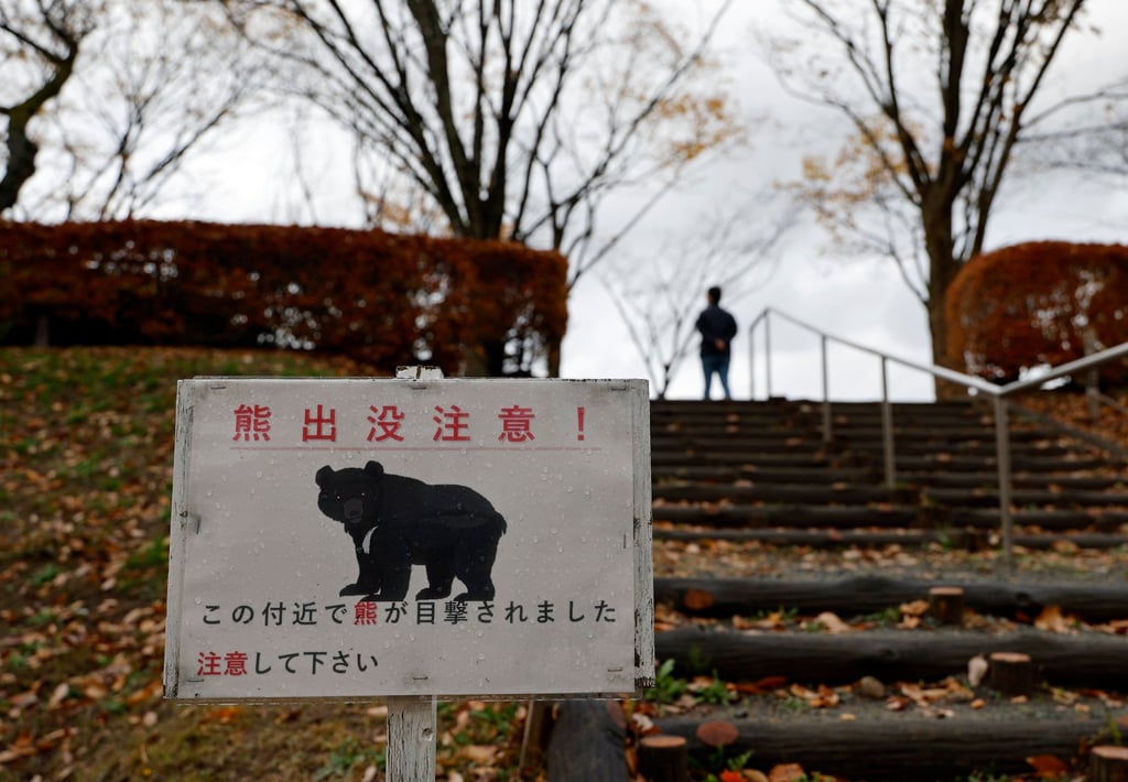 A bear warning sign seen last November at Senshu Park, where bear sightings had led to restricted access in Akita, northeastern Japan. Photo: EPA A bear warning sign seen last November at Senshu Park, where bear sightings had led to restricted access in Akita, northeastern Japan. Photo: EPA